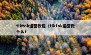 tiktok运营教程（tiktok运营做什么）
