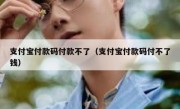 支付宝付款码付款不了（支付宝付款码付不了钱）
