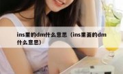 ins里的dm什么意思（ins里面的dm什么意思）