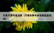 只用车牌号查违章（只用车牌号查违章能查到吗）