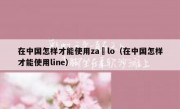 在中国怎样才能使用za lo（在中国怎样才能使用line）