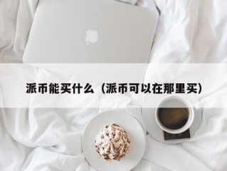 派币能买什么（派币可以在那里买）