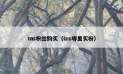 Ins粉丝购买（ins哪里买粉）