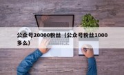 公众号20000粉丝（公众号粉丝1000多么）