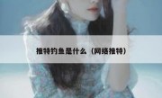 推特钓鱼是什么（网络推特）