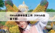 tiktok脚本批量上传（tiktok批量下载）