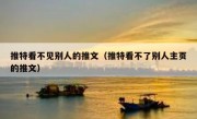 推特看不见别人的推文（推特看不了别人主页的推文）
