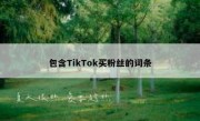 包含TikTok买粉丝的词条