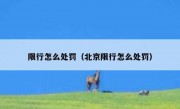 限行怎么处罚（北京限行怎么处罚）