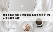 公众号粉丝是什么意思啊网络用语怎么说（公众号粉丝有啥用）