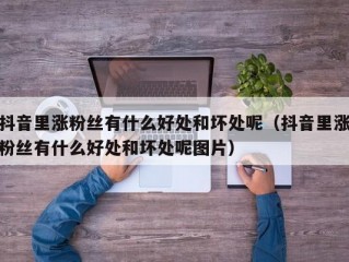抖音里涨粉丝有什么好处和坏处呢（抖音里涨粉丝有什么好处和坏处呢图片）