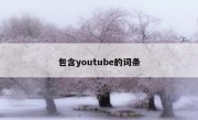 包含youtube的词条
