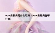 wps云服务是什么软件（wps云服务在哪打开）