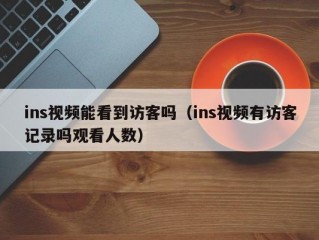 ins视频能看到访客吗（ins视频有访客记录吗观看人数）