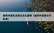 推特内容无法显示怎么回事（推特内容显示不出来）