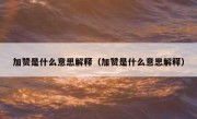 加赞是什么意思解释（加赞是什么意思解释）
