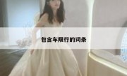 包含车限行的词条