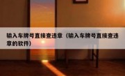 输入车牌号直接查违章（输入车牌号直接查违章的软件）
