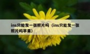 ins只能发一张照片吗（ins只能发一张照片吗苹果）