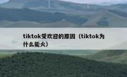 tiktok受欢迎的原因（tiktok为什么能火）