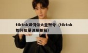tiktok如何做大量账号（tiktok如何批量注册邮箱）