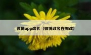 微博app改名（微博改名在哪改）
