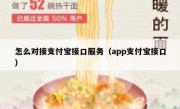 怎么对接支付宝接口服务（app支付宝接口）