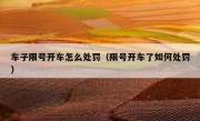 车子限号开车怎么处罚（限号开车了如何处罚）