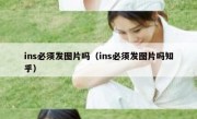 ins必须发图片吗（ins必须发图片吗知乎）