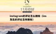 instagram的评论怎么删除（ins发出的评论怎样删除）