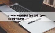 youtube视频收益在哪里看（youtube视频盈利）