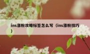 ins涨粉攻略标签怎么写（ins涨粉技巧）