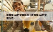 适合发ins的文案伤感（适合发ins的文案伤感）