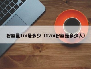 粉丝量1m是多少（12m粉丝是多少人）