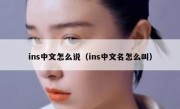 ins中文怎么说（ins中文名怎么叫）