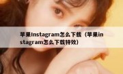 苹果Instagram怎么下载（苹果instagram怎么下载特效）