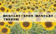 国内为什么用不了海外软件（国内为什么用不了海外软件呢）