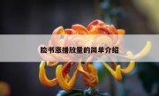 脸书涨播放量的简单介绍