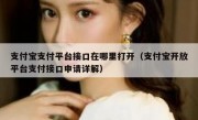 支付宝支付平台接口在哪里打开（支付宝开放平台支付接口申请详解）