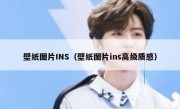 壁纸图片INS（壁纸图片ins高级质感）