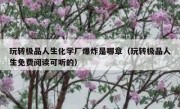 玩转极品人生化学厂爆炸是哪章（玩转极品人生免费阅读可听的）