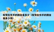 有赞在快手的佣金是多少（有赞在快手的佣金是多少钱）