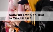 twitter为什么关注不了人（twitter正在关注却没有人）