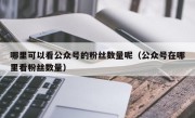 哪里可以看公众号的粉丝数量呢（公众号在哪里看粉丝数量）