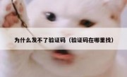 为什么发不了验证码（验证码在哪里找）
