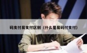 码支付易支付区别（什么是易码付支付）