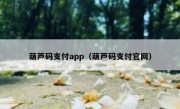 葫芦码支付app（葫芦码支付官网）