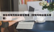 微信视频号粉丝量在哪看（视频号粉丝量从哪看）