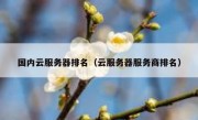国内云服务器排名（云服务器服务商排名）