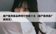 国产服务器品牌排行榜前十名（国产服务器厂商排名）